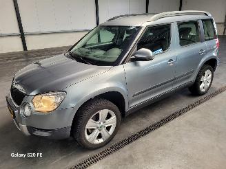 Vaurioauto  passenger cars Skoda Yeti 1.2 TSi 77-KW DSG 5drs 2013/6