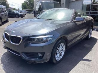 demontáž osobní automobily BMW 2-serie 2 serie (F23), Cabrio, 2014 / 2021 218i 1.5 TwinPower Turbo 12V 2019/1