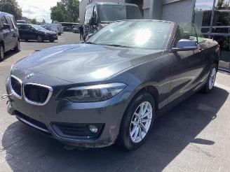 demontáž osobní automobily BMW 2-serie 2 serie (F23), Cabrio, 2014 / 2021 218i 1.5 TwinPower Turbo 12V 2019/1
