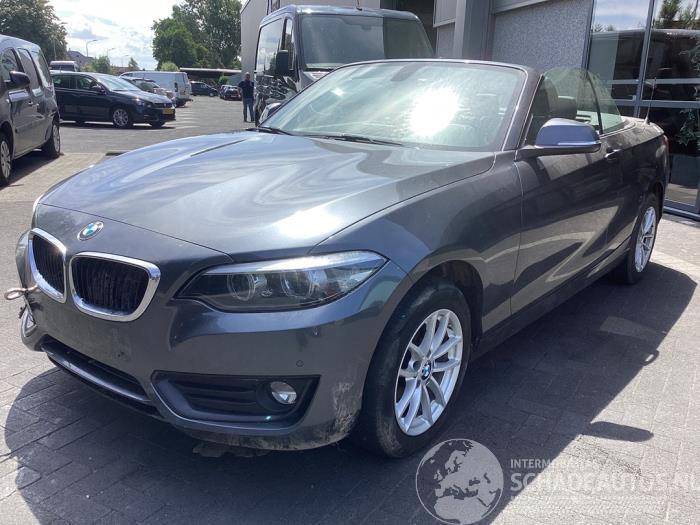 BMW 2-serie 2 serie (F23), Cabrio, 2014 / 2021 218i 1.5 TwinPower Turbo 12V