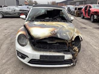 Volkswagen Beetle Beetle (16AE), Cabrio, 2011 / 2019 1.4 TSI 16V picture 2