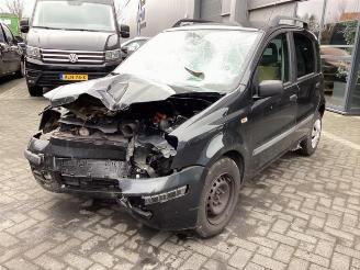 rozbiórka samochody osobowe Fiat Panda Panda (169), Hatchback, 2003 / 2013 1.2 Fire 2004/3