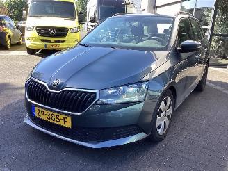 krockskadad bil auto Skoda Fabia 1.0 Active 2019/7