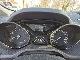 Ford C-Max 1.0 Titanium picture 10