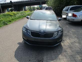 Uttjänta bilar auto Skoda Octavia  2019/1