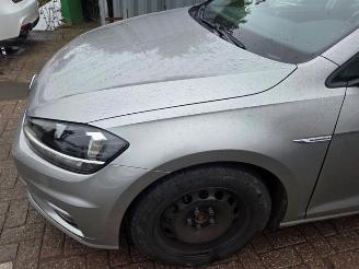 Volkswagen Golf Golf VII Variant (AUVV), Combi, 2013 / 2021 1.5 TSI Evo BlueMotion 16V picture 5