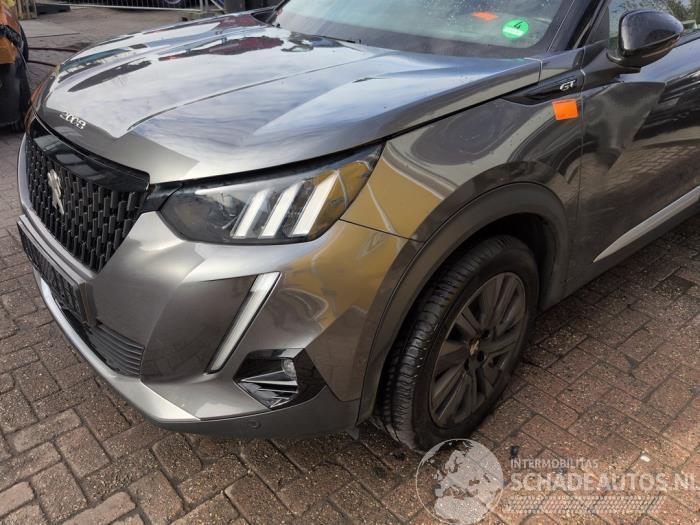 Peugeot 2008 2008 (UD/UK/UR/US/UX), MPV, 2019 1.2 VTi 12V PureTech 130