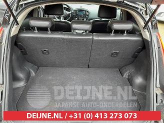 Nissan Juke Juke (F15), SUV, 2010 / 2019 1.6 DIG-T 16V picture 23