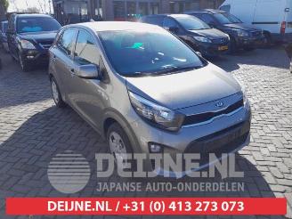 Auto da rottamare Kia Picanto Picanto (JA), Hatchback, 2017 1.0 12V 2019/10