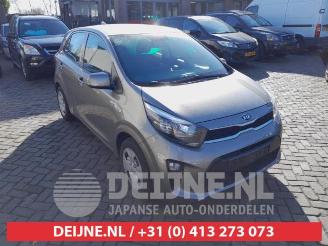 Coche siniestrado Kia Picanto Picanto (JA), Hatchback, 2017 1.0 12V 2019/10