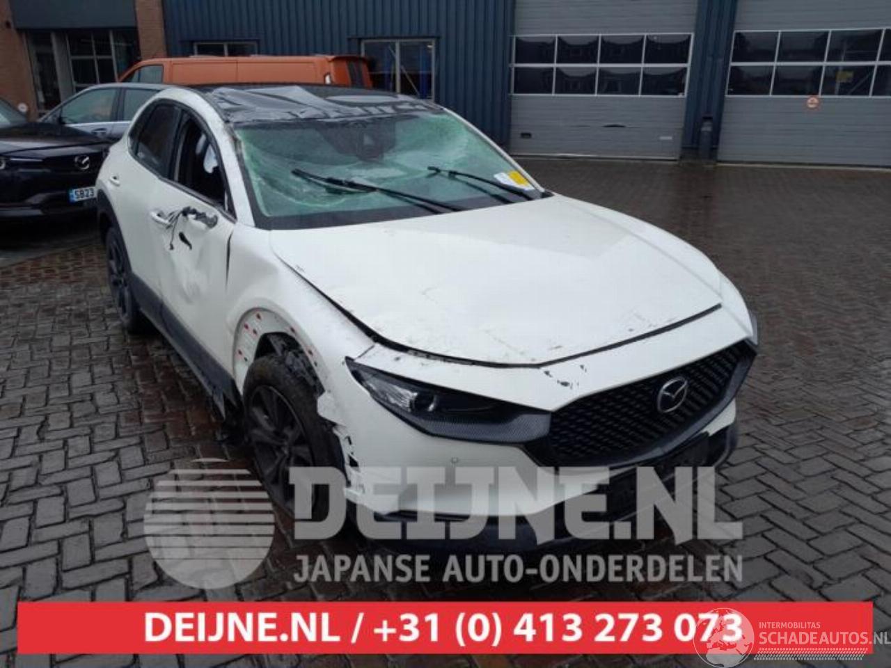 Mazda CX-30 CX-30 (DM), SUV, 2019 2.0 e-SkyActiv-G 122 16V