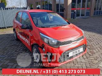 Vrakbiler auto Kia Picanto Picanto (JA), Hatchback, 2017 1.0 12V 2019/2