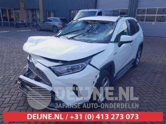 Toyota Rav-4 RAV4 (A5), Terreinwagen, 2018 2.5 Hybrid 16V AWD picture 3