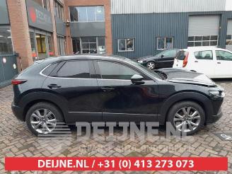 Mazda CX-30 CX-30 (DM), SUV, 2019 2.0 e-SkyActiv-G 122 16V picture 8