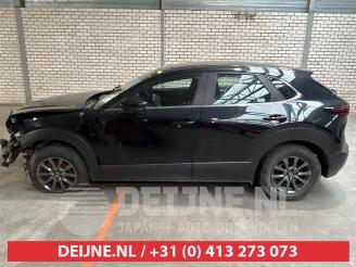 Mazda CX-30 CX-30 (DM), SUV, 2019 2.0 e-SkyActiv-G 122 16V picture 4