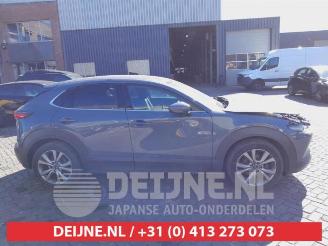 Mazda CX-30 CX-30 (DM), SUV, 2019 2.0 e-SkyActiv-G 122 16V picture 8