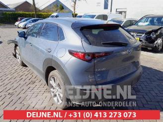 Mazda CX-30 CX-30 (DM), SUV, 2019 2.0 e-SkyActiv-G 122 16V picture 5