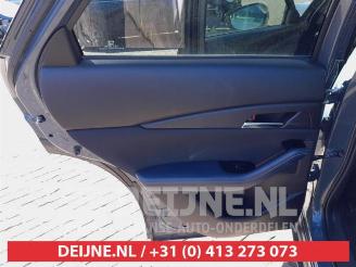 Mazda CX-30 CX-30 (DM), SUV, 2019 2.0 e-SkyActiv-G 122 16V picture 11