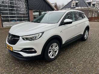 Schadeauto Opel Grandland 1.2 Turbo Business + 2019/3