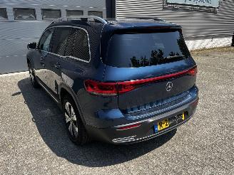 Mercedes EQB 250 Business line 67kWh picture 16