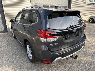 Subaru Forester 2.0i e-BOXER Luxury picture 17