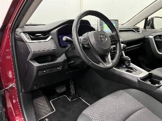Toyota Rav-4 2.5 Hybrid First Edition Navi Clima picture 7