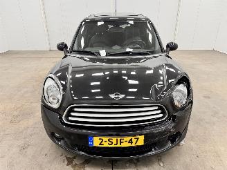 Mini Countryman 1.6i Panoramadak Navi Clima picture 5