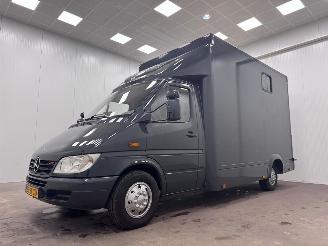 Mercedes Sprinter 311 CDI Horsetruck picture 6