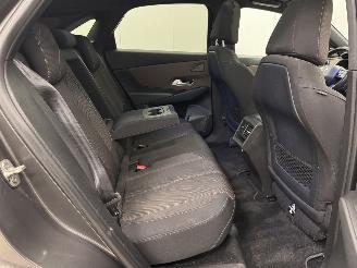DS Automobiles DS 7 Crossback 1.2 PureTech Panoramadak Navi Clima picture 12