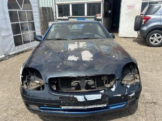 Mercedes SLK SLK (R170), Cabrio, 1996 / 2004 2.0 200 16V picture 2