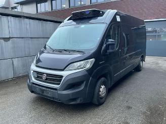 škoda nákladních automobilů Ford  Ducato 2.3 2.3 130 Koelwagen 2019/2
