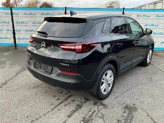 Opel Grandland X 1.5 CDTi (96kW) picture 4