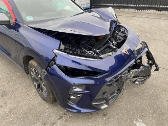 Seat Terra CUPRA Terramar 1.5 e-Hybrid 150kW picture 10