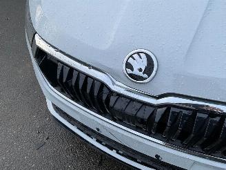 Skoda Karoq 1.5 TSi (110 KW) Automaat + Dig. Cockpit + NAV picture 16