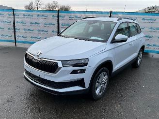 Auto incidentate Skoda Karoq 1.5 TSi (110 KW) Automaat + Dig. Cockpit + NAV 2025/9