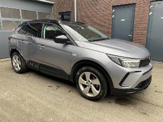 Opel Grandland X 1.2 Turbo (96kW) GS Line picture 2