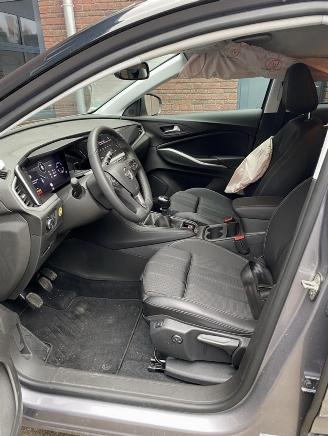 Opel Grandland X 1.2 Turbo (96kW) GS Line picture 9