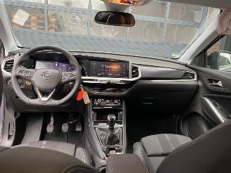 Opel Grandland X 1.2 Turbo (96kW) GS Line picture 15