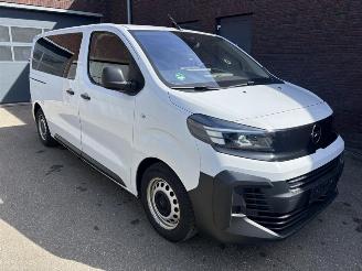 Opel Vivaro Basis M (L2) 2.0 (106kW) Dubbelcabine 5P EU6 picture 2
