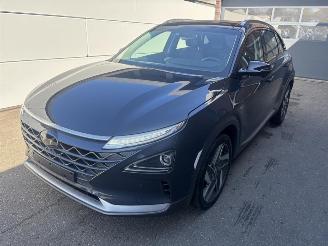 Hyundai Nexo Fuel Cell Noodloop picture 1