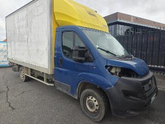 uszkodzony samochody ciężarowe Fiat Ducato 120 MaxiRS: 3000 mm 130 PK Koffer 2021/6