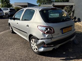 Peugeot 206+  picture 3