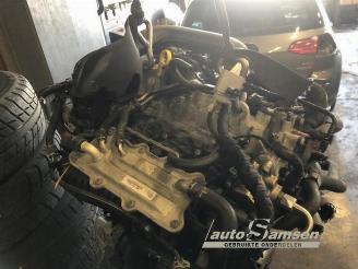 Volkswagen Golf Golf VII (AUA), Hatchback, 2012 / 2021 1.0 TSI 12V BlueMotion picture 10