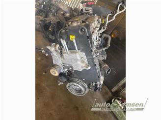 Fiat 500 500 (312), Hatchback, 2007 1.2 picture 11