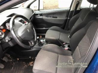 Peugeot 207 207 SW (WE/WU), Combi, 2007 / 2013 1.6 16V picture 6