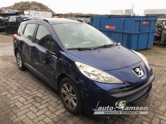 Peugeot 207 207 SW (WE/WU), Combi, 2007 / 2013 1.6 16V picture 2