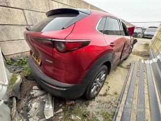 Mazda CX-30 CX-30 (DM), SUV, 2019 2.0 e-SkyActiv-G 150 16V picture 8