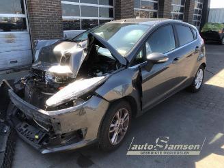 Auto da rottamare Ford Fiesta Fiesta 6 (JA8), Hatchback, 2008 / 2018 1.0 EcoBoost 12V 125 2017/1