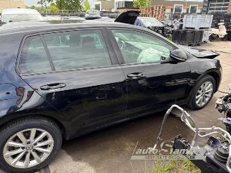Volkswagen Golf Golf VII (AUA), Hatchback, 2012 / 2021 1.6 TDI BlueMotion 16V picture 6