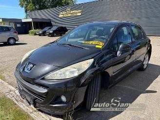 Peugeot 207 207/207+ (WA/WC/WM), Hatchback, 2006 / 2015 1.6 16V VTRi picture 10